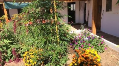 Maison T5 à Longueira/Almograve de 150 m²