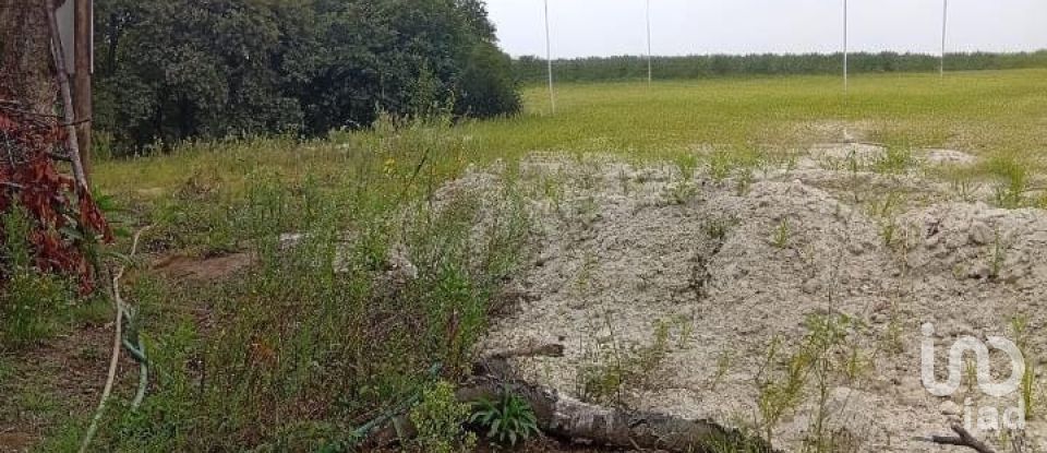 Land in Barcelos, Vila Boa e Vila Frescainha (São Martinho e São Pedro) of 650 m²