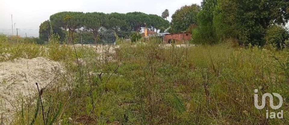 Land in Barcelos, Vila Boa e Vila Frescainha (São Martinho e São Pedro) of 650 m²