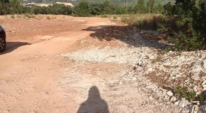 Terrain agricole à Évora de Alcobaça de 9 770 m²