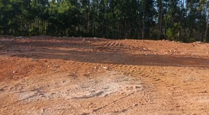 Terrain agricole à Évora de Alcobaça de 9 770 m²