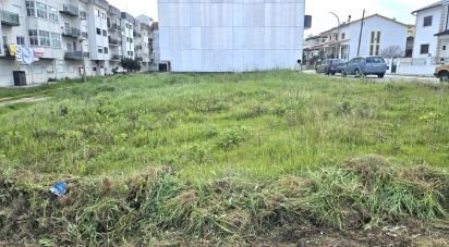 Land in Pombal of 240 m²