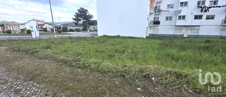 Terreno em Pombal de 240 m²