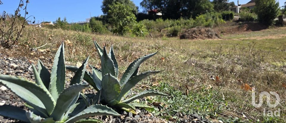 Terrain à A dos Francos de 995 m²