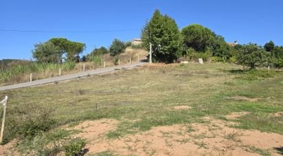 Terrain à A dos Francos de 995 m²