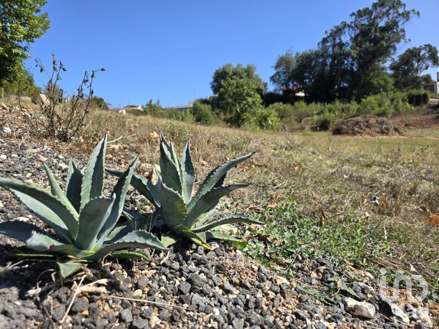 Terrain à A dos Francos de 995 m²