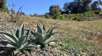 Terrain à A dos Francos de 995 m²