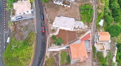 Single story home T2 in Ponta do Sol of 100 m²