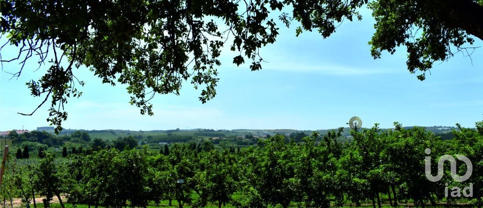 Maison T3 à Bombarral e Vale Covo de 252 m²