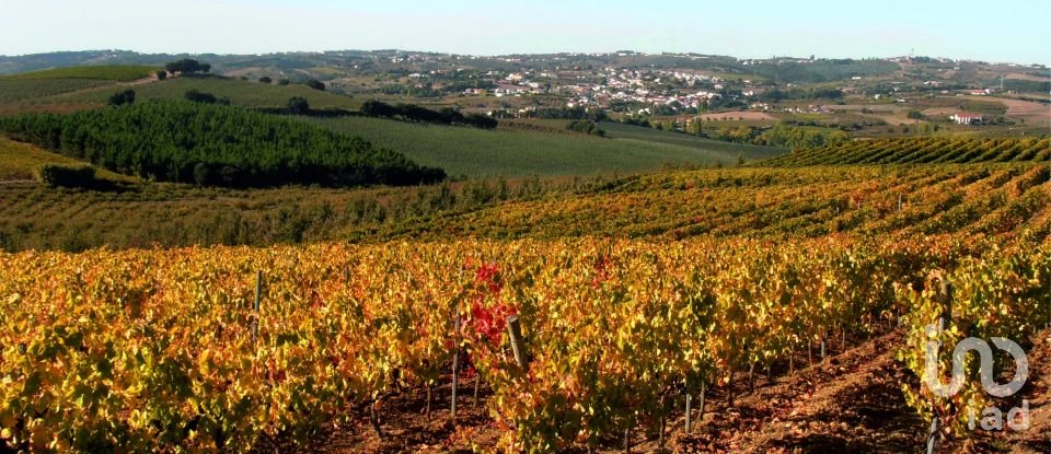 Maison T3 à Bombarral e Vale Covo de 252 m²