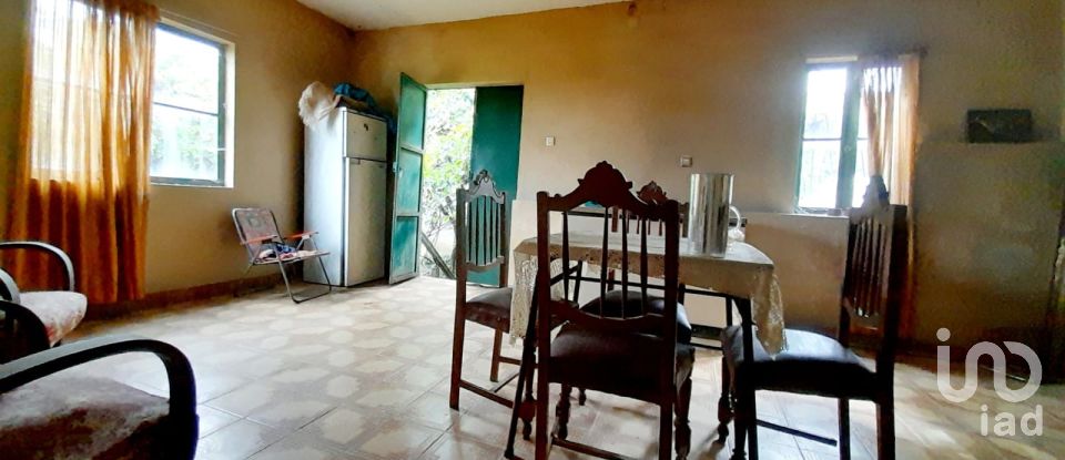 Moradia T5 em Seixo da Beira de 180 m²