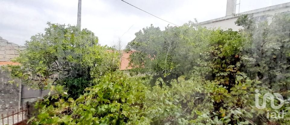 Moradia T5 em Seixo da Beira de 180 m²