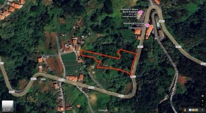 Terrain agricole à Santana de 2 370 m²