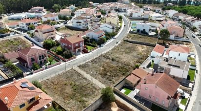 Terrain à Rio Maior de 561 m²