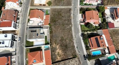 Terrain à Rio Maior de 561 m²