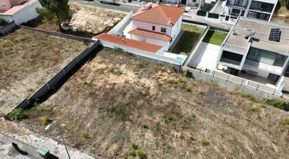 Terrain à Rio Maior de 561 m²
