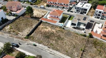 Terrain à Rio Maior de 561 m²