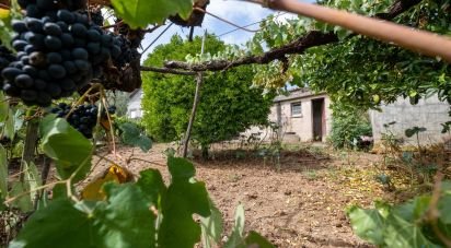 Maison de village T3 à Carvalho de 254 m²