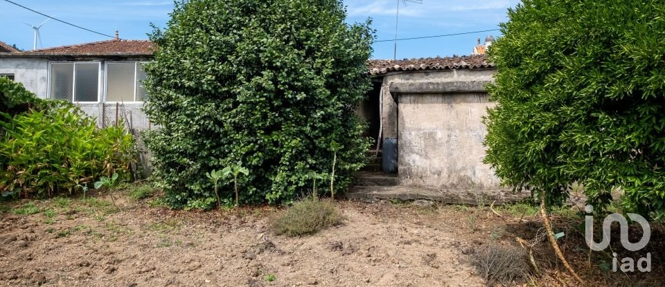 Maison de village T3 à Carvalho de 254 m²