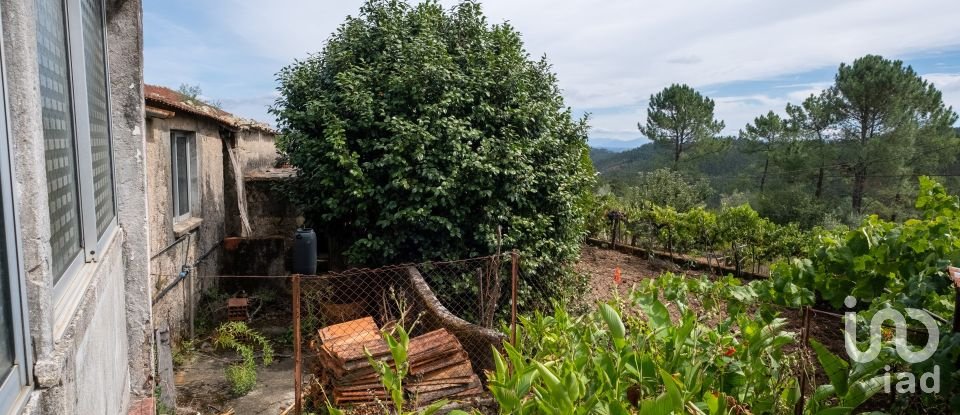 Maison de village T3 à Carvalho de 254 m²