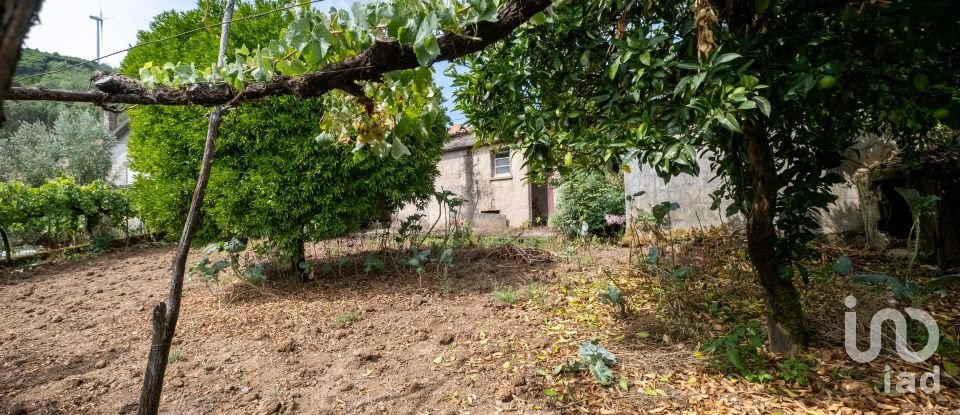 Maison de village T3 à Carvalho de 254 m²