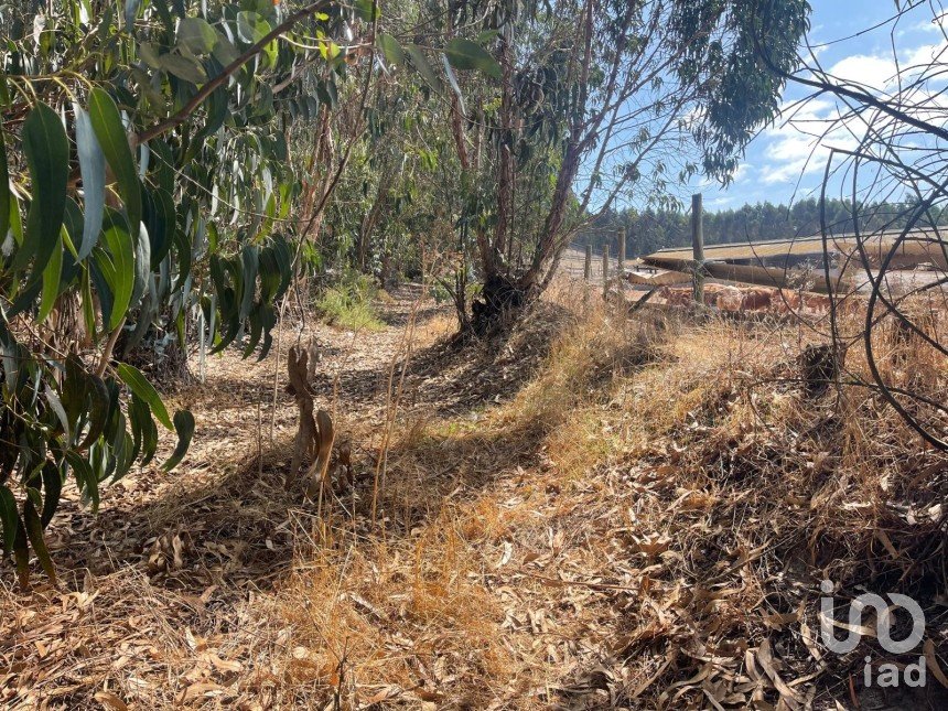 Terreno rústico em Ramalhal de 24 955 m²