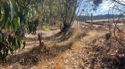 Terrain agricole à Ramalhal de 24 955 m²