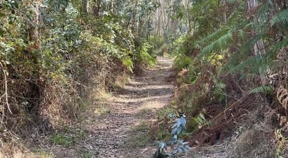 Terrain agricole à Ramalhal de 24 955 m²
