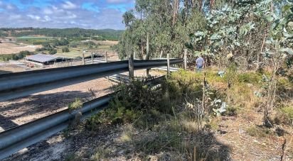 Terrain agricole à Ramalhal de 24 955 m²
