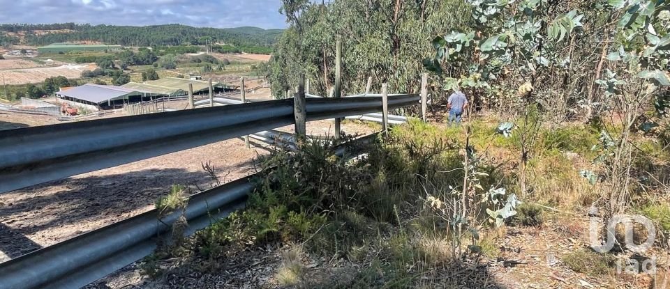 Terreno rústico em Ramalhal de 24 955 m²