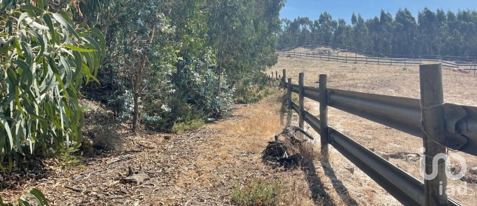 Terreno rústico em Ramalhal de 24 955 m²