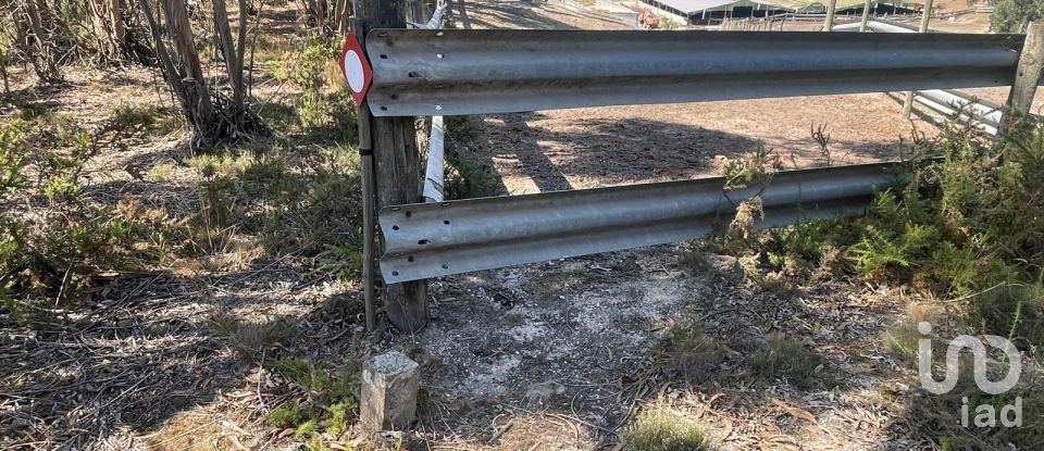 Terreno rústico em Ramalhal de 24 955 m²