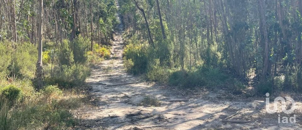 Terreno rústico em Ramalhal de 24 955 m²