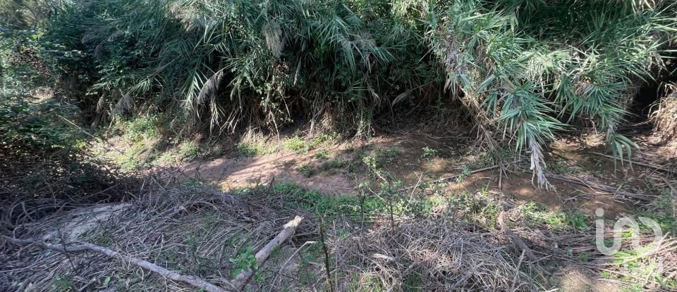 Terreno rústico em Ramalhal de 24 955 m²