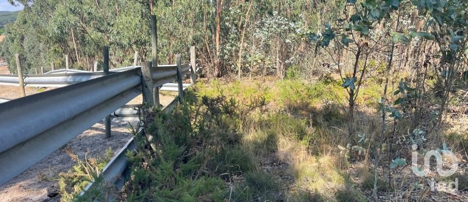 Terreno rústico em Ramalhal de 24 955 m²