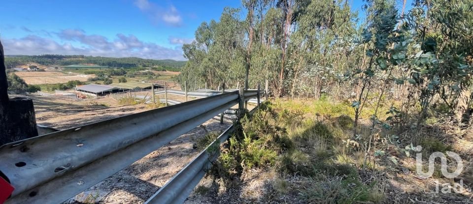 Terreno rústico em Ramalhal de 24 955 m²