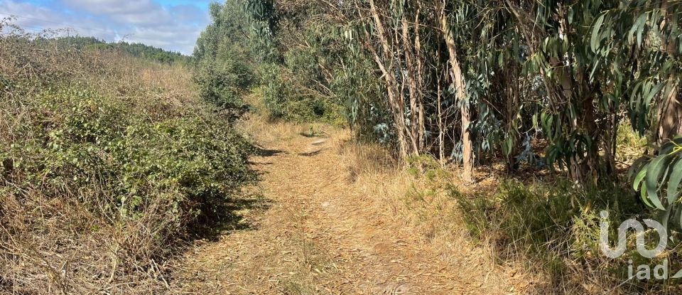 Terreno rústico em Ramalhal de 24 955 m²