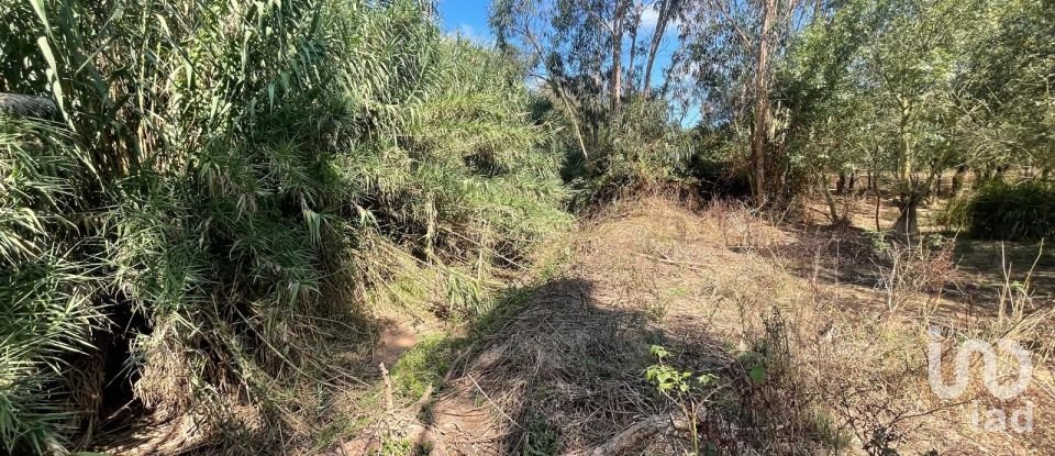 Terreno rústico em Ramalhal de 24 955 m²