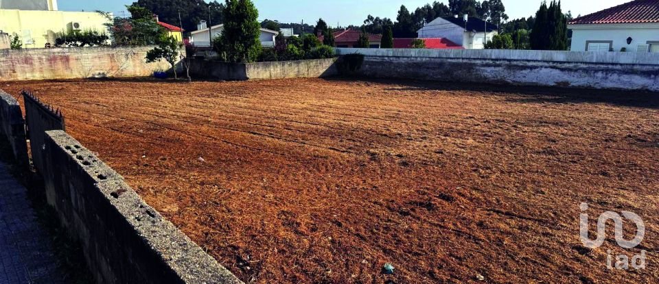 Land in Cortegaça of 1,593 m²