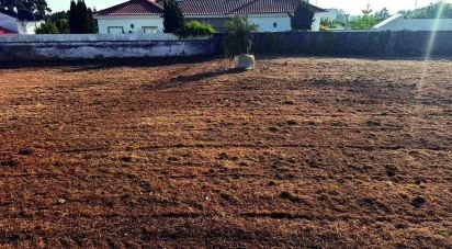 Terrain à Cortegaça de 1 593 m²