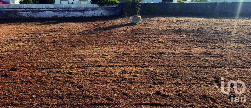 Land in Cortegaça of 1,593 m²