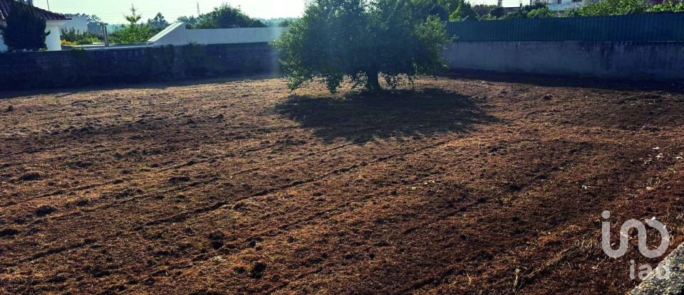 Land in Cortegaça of 1,593 m²