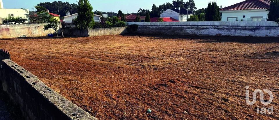 Land in Cortegaça of 1,593 m²