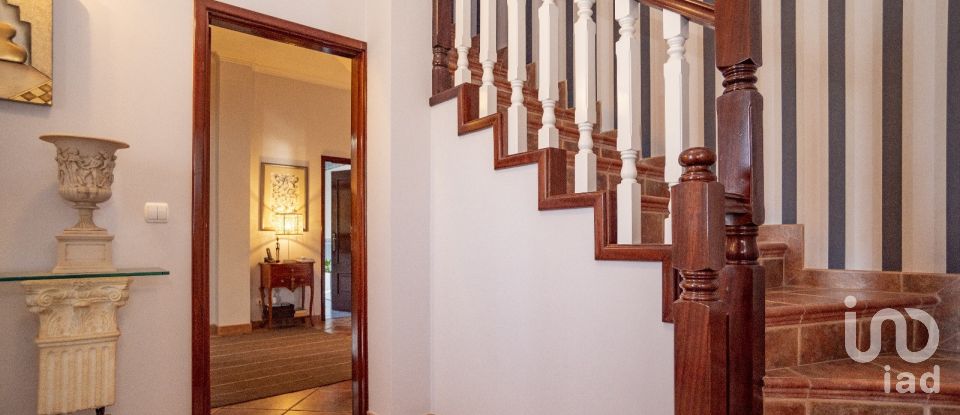 Moradia T3 em Sanfins lamoso codessos de 243 m²