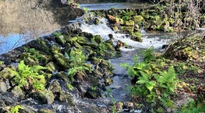 Ferme T4 à Crasto, Ruivos e Grovelas de 341 m²