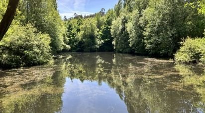 Ferme T4 à Crasto, Ruivos e Grovelas de 341 m²