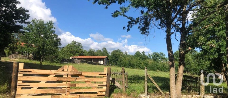 Quinta T4 em Crasto, Ruivos e Grovelas de 341 m²