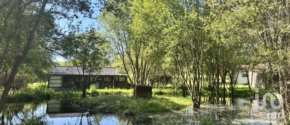 Quinta T4 em Crasto, Ruivos e Grovelas de 341 m²