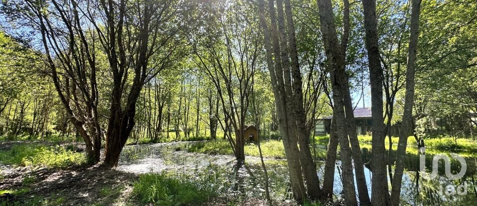 Quinta T4 em Crasto, Ruivos e Grovelas de 341 m²