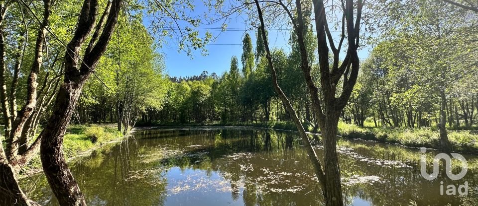 Quinta T4 em Crasto, Ruivos e Grovelas de 341 m²